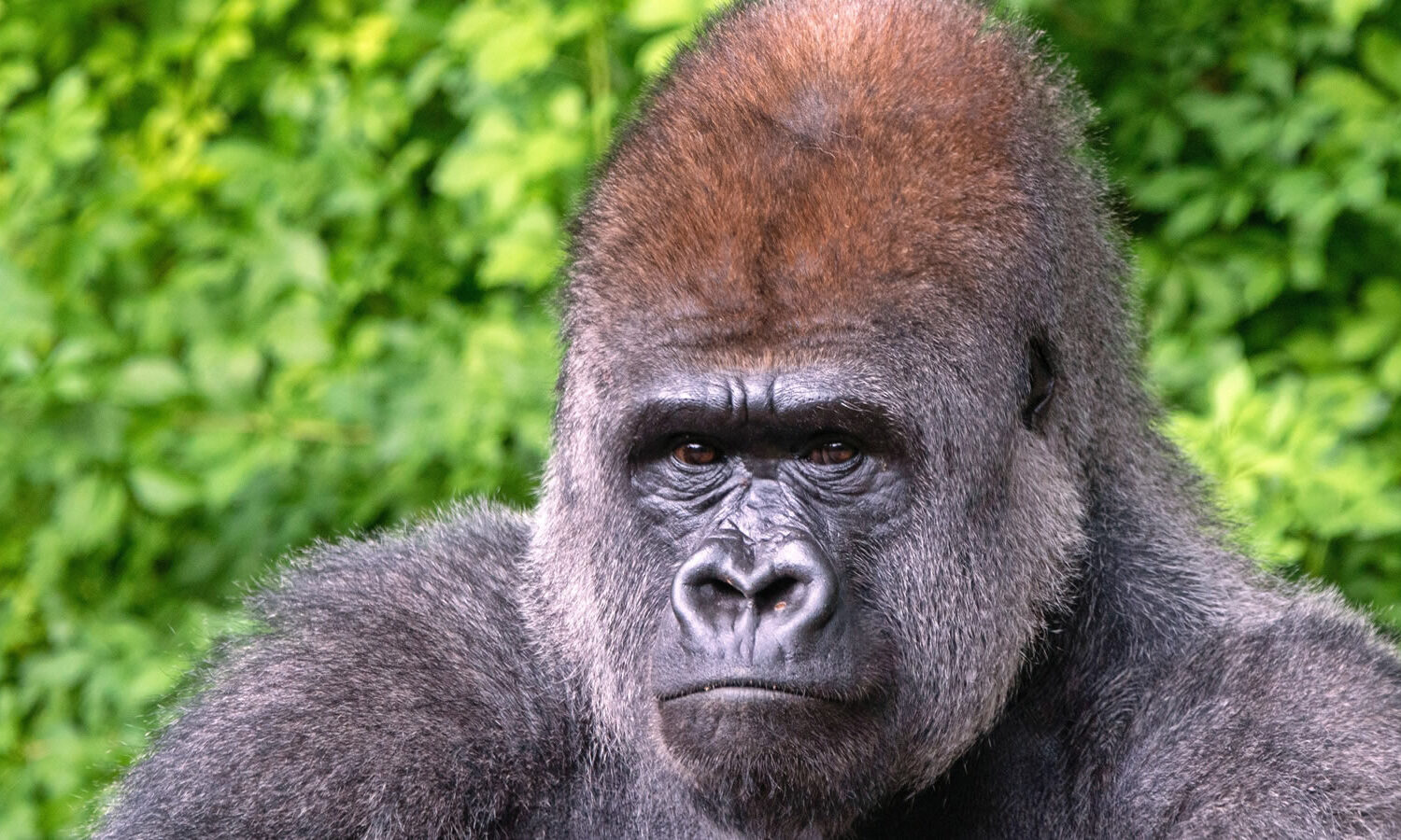 Plan Trip to Uganda